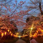 ヒメ日記 2026/05/30 21:15 投稿 りり MINT（ミント）