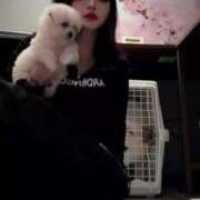 ヒメ日記 2025/11/22 21:37 投稿 歌唄/うたう Platinum Legend(プラチナムレジェンド)