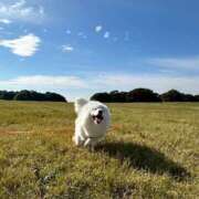 ヒメ日記 2025/11/28 16:57 投稿 歌唄/うたう Platinum Legend(プラチナムレジェンド)