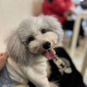 ヒメ日記 2025/12/14 17:33 投稿 歌唄/うたう Platinum Legend(プラチナムレジェンド)