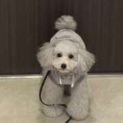 ヒメ日記 2025/12/27 19:47 投稿 歌唄/うたう Platinum Legend(プラチナムレジェンド)