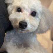 ヒメ日記 2026/01/08 23:07 投稿 歌唄/うたう Platinum Legend(プラチナムレジェンド)