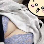 ヒメ日記 2025/05/27 15:03 投稿 さとみ【素人感満載キレイ系奥】 One More 奥様 新宿店