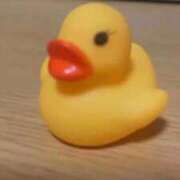 ヒメ日記 2025/09/11 05:42 投稿 さとみ【素人感満載キレイ系奥】 One More 奥様 新宿店