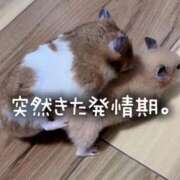 ヒメ日記 2025/09/15 10:27 投稿 さとみ【素人感満載キレイ系奥】 One More 奥様 新宿店