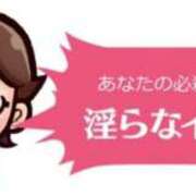 ヒメ日記 2026/05/08 05:12 投稿 さとみ【素人感満載キレイ系奥】 One More 奥様 新宿店