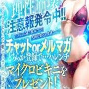 ヒメ日記 2026/07/14 20:22 投稿 さとみ【素人感満載キレイ系奥】 One More 奥様 新宿店