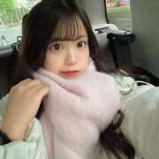 ヒメ日記 2026/02/17 05:27 投稿 きらり E+アイドルスクール　大阪・日本橋店