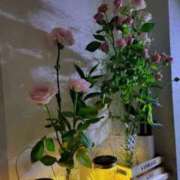 ヒメ日記 2025/09/03 04:53 投稿 マリー ミセスコレクション