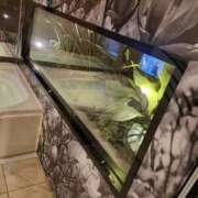 ヒメ日記 2025/10/02 03:23 投稿 マリー ミセスコレクション