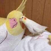 ヒメ日記 2025/10/11 22:33 投稿 マリー ミセスコレクション