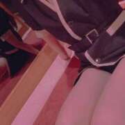 ヒメ日記 2025/08/01 10:15 投稿 藤澤ありさ シロガネーゼ