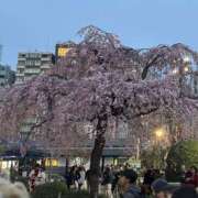 ヒメ日記 2026/04/02 13:54 投稿 さくら アレグリア