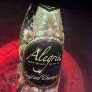 ヒメ日記 2026/04/23 17:00 投稿 さくら アレグリア