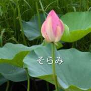 ヒメ日記 2026/07/22 11:04 投稿 川咲そらみ 五十路マダムエクスプレス船橋店(カサブランカグループ)