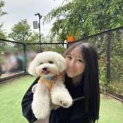 ヒメ日記 2025/08/02 23:39 投稿 なる カクテル(岡山)