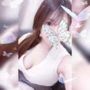 ヒメ日記 2025/06/06 02:07 投稿 高嶺 さくらこ Canx2京都店