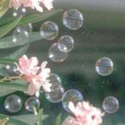 ヒメ日記 2025/08/23 11:57 投稿 高嶺 さくらこ Canx2京都店