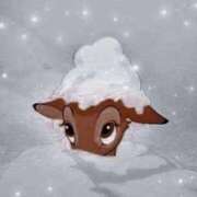 ヒメ日記 2026/02/25 22:47 投稿 高嶺 さくらこ Canx2京都店