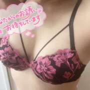 ヒメ日記 2025/05/11 19:44 投稿 田中　みはね 素人専門店エーアールティー　紀南店