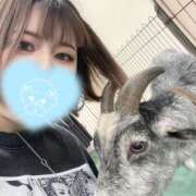 ヒメ日記 2025/07/05 20:34 投稿 田中　みはね 素人専門店エーアールティー　紀南店