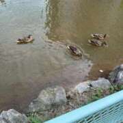 ヒメ日記 2025/06/16 11:09 投稿 りいこ サンキュー福岡店