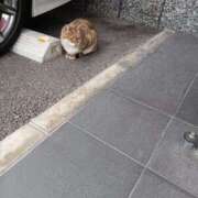 ヒメ日記 2025/06/17 07:11 投稿 りいこ サンキュー福岡店