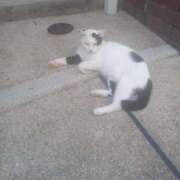 ヒメ日記 2025/06/18 08:39 投稿 りいこ サンキュー福岡店