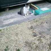 ヒメ日記 2025/06/27 17:29 投稿 りいこ サンキュー福岡店