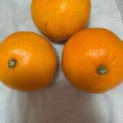 ヒメ日記 2025/12/15 15:09 投稿 りいこ サンキュー福岡店