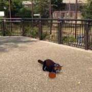 ヒメ日記 2025/05/23 17:24 投稿 木村 Mrs治療院