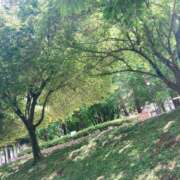 ヒメ日記 2025/10/28 14:16 投稿 りん セレブクエスト-koshigaya-