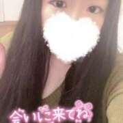 ヒメ日記 2025/05/17 14:08 投稿 ナマコ　海鼠 女の子市場