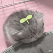 ヒメ日記 2026/03/14 18:12 投稿 なの 宮城♂風俗の神様 仙台店