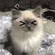 ヒメ日記 2026/03/21 06:52 投稿 なの 宮城♂風俗の神様 仙台店