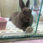 ヒメ日記 2025/06/25 19:48 投稿 れあ フォーシーズン