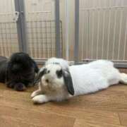 ヒメ日記 2025/07/06 13:48 投稿 れあ フォーシーズン