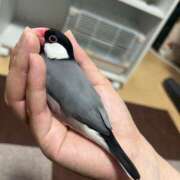 ヒメ日記 2025/08/10 13:08 投稿 れあ フォーシーズン