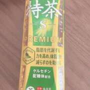 ヒメ日記 2025/09/16 09:28 投稿 れあ フォーシーズン
