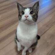 ヒメ日記 2025/05/22 22:05 投稿 とあ 熟女総本店