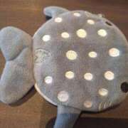 ヒメ日記 2025/05/28 14:15 投稿 とあ 熟女総本店