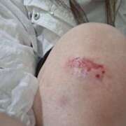 ヒメ日記 2025/05/30 02:45 投稿 とあ 熟女総本店