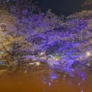 ヒメ日記 2025/06/01 20:45 投稿 とあ 熟女総本店