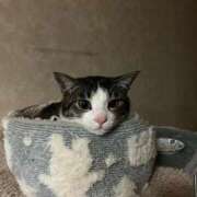 ヒメ日記 2025/06/09 22:05 投稿 とあ 熟女総本店