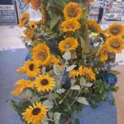 ヒメ日記 2025/07/05 04:05 投稿 とあ 熟女総本店