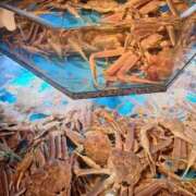 ヒメ日記 2025/10/03 23:25 投稿 とあ 熟女総本店