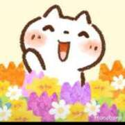 ヒメ日記 2025/10/23 16:25 投稿 とあ 熟女総本店