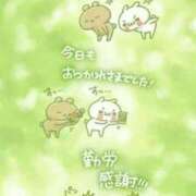 ヒメ日記 2025/11/10 00:25 投稿 とあ 熟女総本店