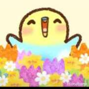 ヒメ日記 2025/11/22 03:05 投稿 とあ 熟女総本店