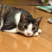 ヒメ日記 2026/01/07 01:18 投稿 とあ 熟女総本店